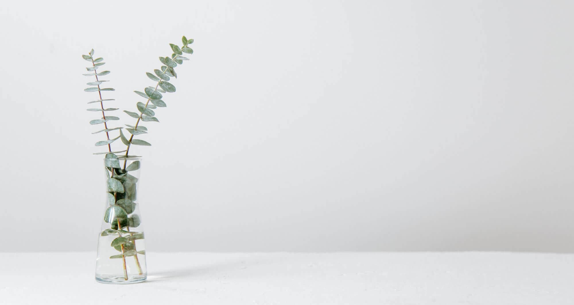 Professional psychological evaluation setting at The Psychology Center Madison WI